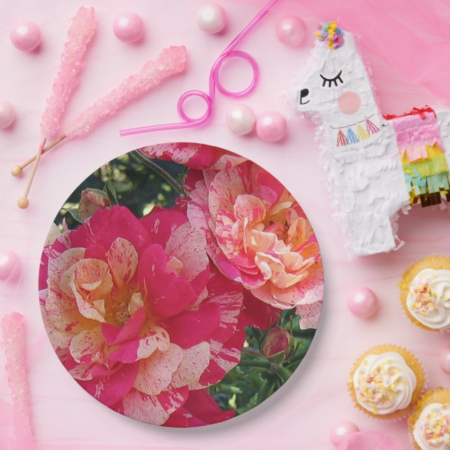 Rosa und weiße Streifen Rose Blumenstrauß Pappteller (Party)