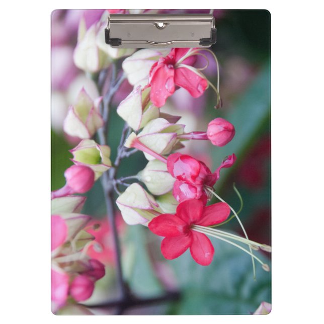 Rosa und weiße tropische Blume Klemmbrett (Vorderseite)