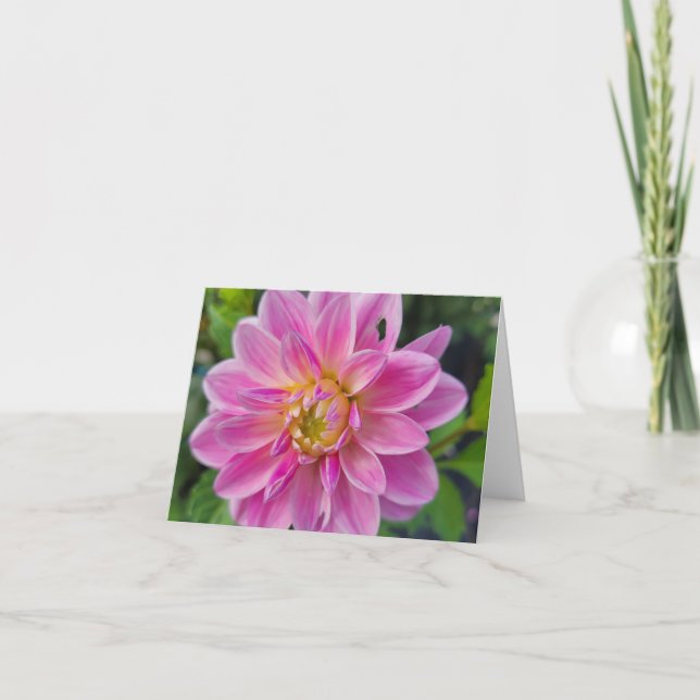 Rosa und weißer Garten Dahlia Feiertagskarte (Vorderseite)