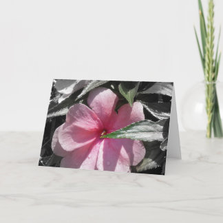 Rosa ungeduldig karte