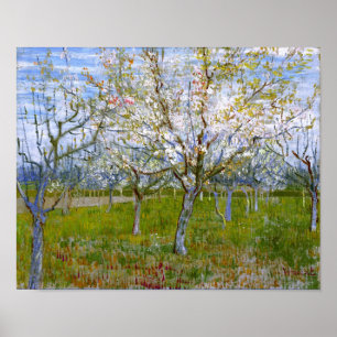 Rosa Van- Goghschöne Kunst des Obstgarten-(F555) Poster
