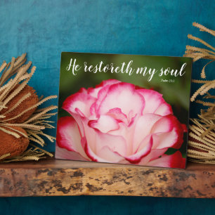 Rosa Variegierte Rose Psalm 23:3 Schrift Fotoplatte