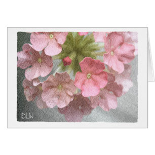 Rosa Verbena/Floral Art/Aquarellbild