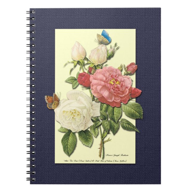 Rosa Vintage botanische Rose Notizblock (Vorderseite)