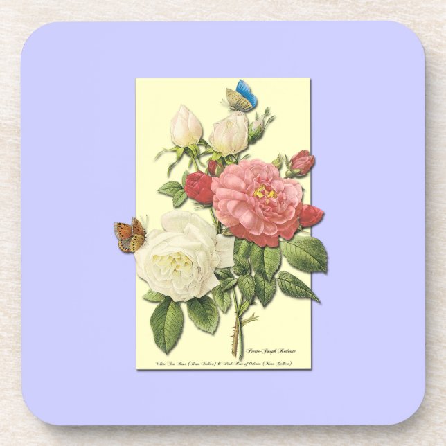 Rosa Vintage botanische Rose Untersetzer (Vorderseite)