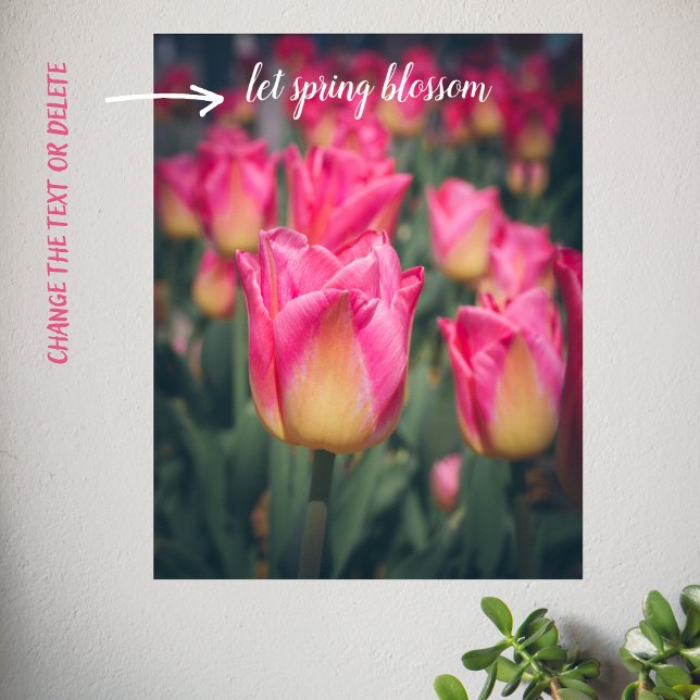Rosa Vintage Federtulpen Poster (Von Creator hochgeladen)