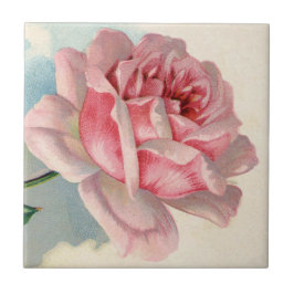 Rosa Vintage Keramik Tile Fliese