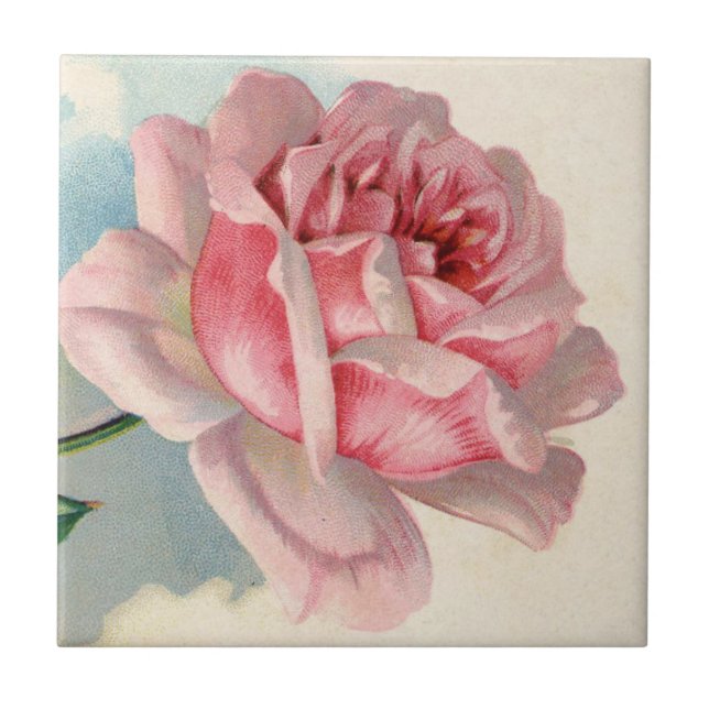Rosa Vintage Keramik Tile Fliese (Vorderseite)