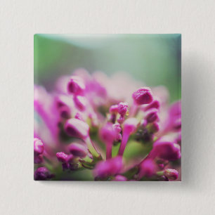 Rosa Vintage-Makro-Bokeh-Blume Button