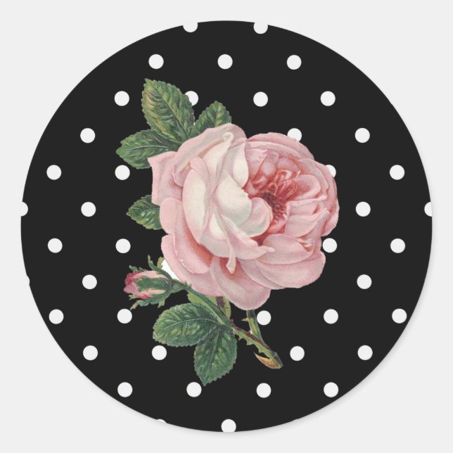 Rosa Vintage Rose und schwarze Polka-Punkte-Aufkle Runder Aufkleber (Vorderseite)