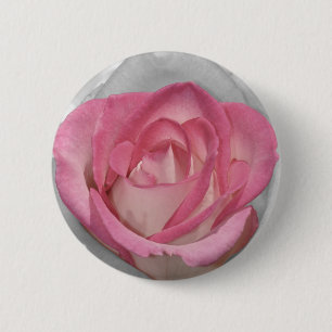 Rosa Vintager Rosendruck Button