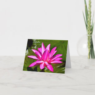 Rosa Wasser-Lilien-Wasserlilie-Anmerkungs-Karte Karte