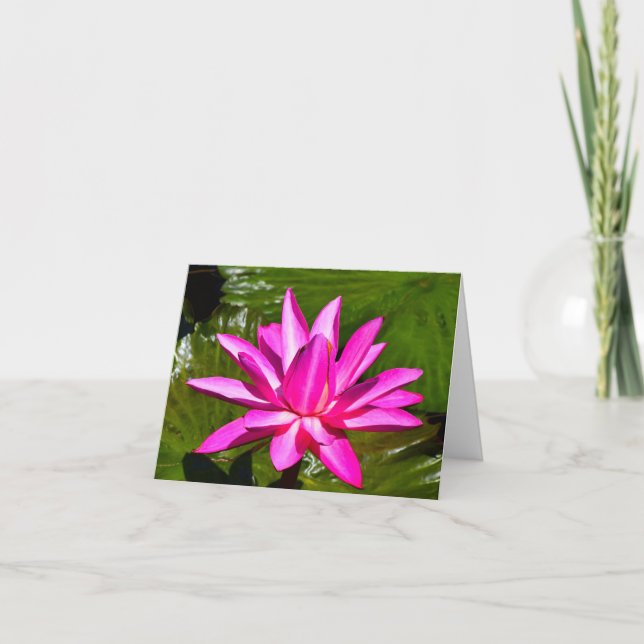 Rosa Wasser-Lilien-Wasserlilie-Anmerkungs-Karte Karte (Vorderseite)
