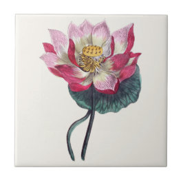 Rosa Wasser-Lotos-botanische Keramik-Fliese Fliese