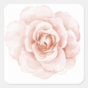 Rosa Wasserfarbe Elegant Floral Romantisch Quadratischer Aufkleber