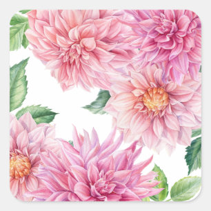 Rosa Wasserfarben-Dahlia-Blumenmuster Quadratischer Aufkleber