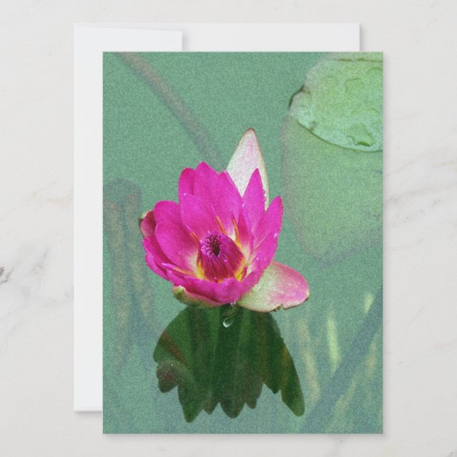 Rosa Wasserlilie Blume Blindeinladung Einladung (Vorderseite)