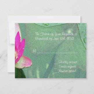 Rosa Wasserlilie Blume RSVP-Karte RSVP Karte