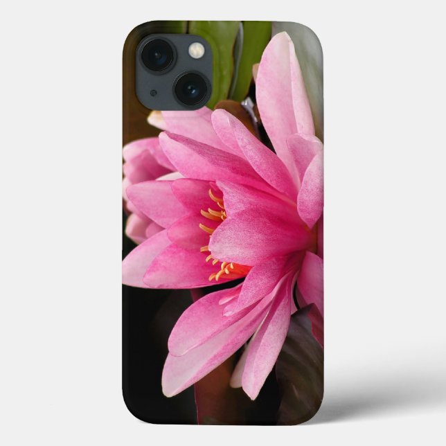 Rosa Wasserlilie Case-Mate iPhone Hülle (Rückseite)