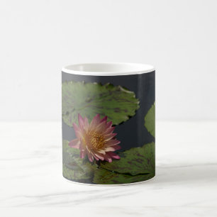 Rosa Wasserlilie Kaffeetasse