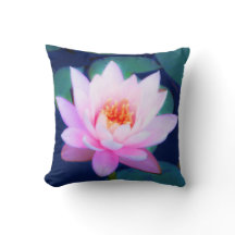 Rosa Wasserlilie