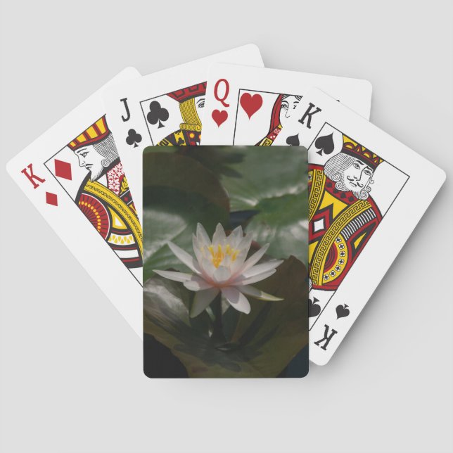 Rosa Wasserlilie Lotus Playing Cards Spielkarten (Rückseite)