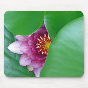 Rosa Wasserlilie Mousepad