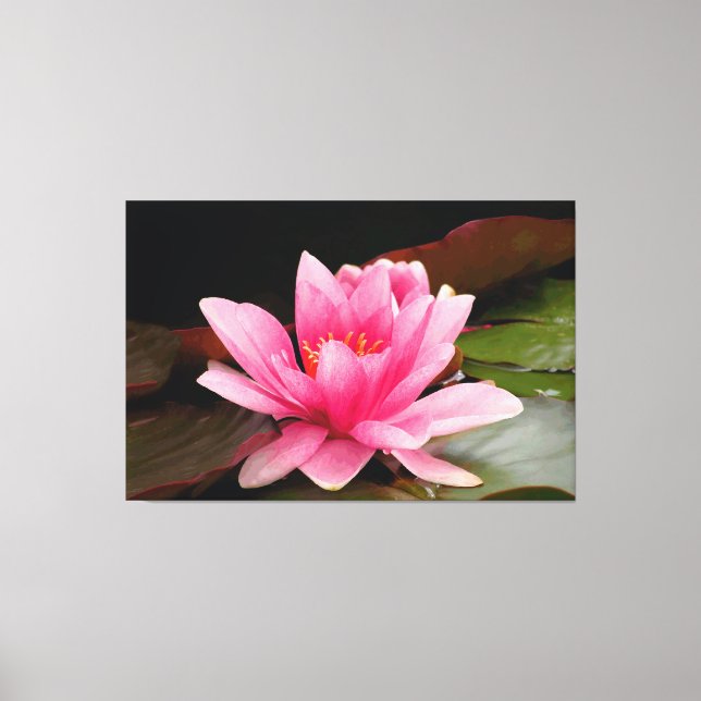 Rosa Wasserlilie Stretchierte Leinwand drucksvoll (Vorderseite)