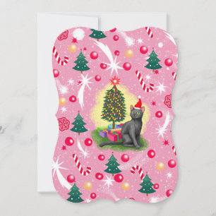 Rosa Weihnachtskatze
