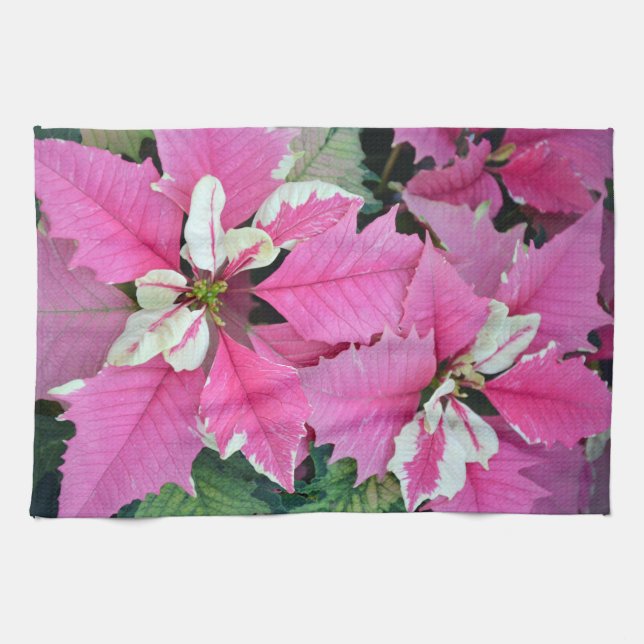 Rosa Weihnachtspoinsettia-Blumen-Küchentuch Geschirrtuch (Horizontal)