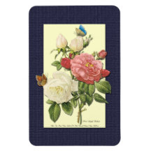 Rosa Weiß Alte Botanische Rosen