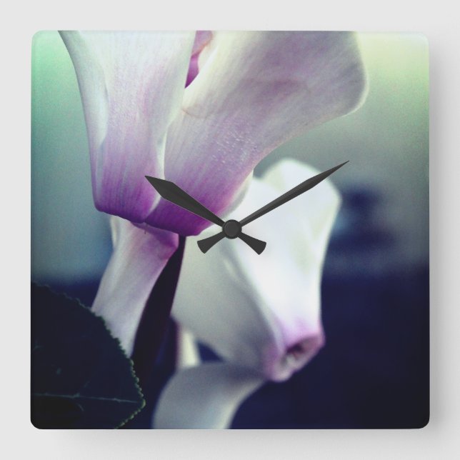 Rosa weiße Blume Foto Quadrat Wand-Uhr Quadratische Wanduhr (Vorderseite)