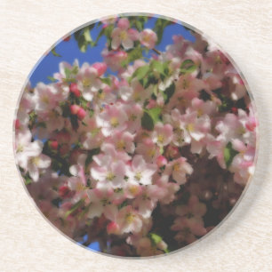 Rosa Weißer Frühling Blüten Blumenblüten Untersetz Untersetzer