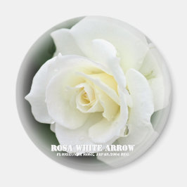 Rosa White Arrow Magnet