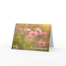 Rosa Wildblume Daisies Beileid