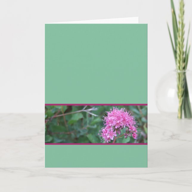 Rosa Wildblume-Gruß-Karte Karte (Vorderseite)