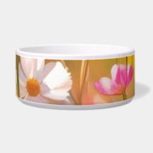 Rosa Wilde Blume Gelber Lavendel 2025