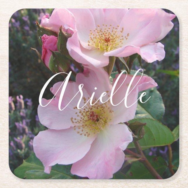 Rosa Wilde Rose Blume Blumenstrauß Foto Rosa Rechteckiger Pappuntersetzer (Vorderseite)