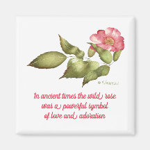 Rosa wilde Rose mit Sprichwort