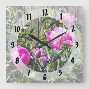 Rosa Zaun von Stockade Quadratische Wanduhr