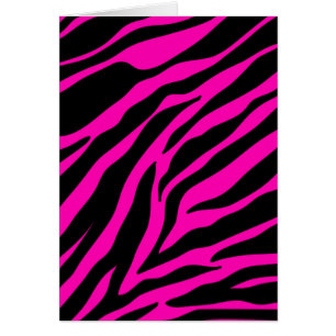 Rosa Zebra