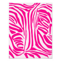 Rosa Zebra
