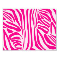 Rosa Zebra