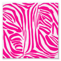 Rosa Zebra