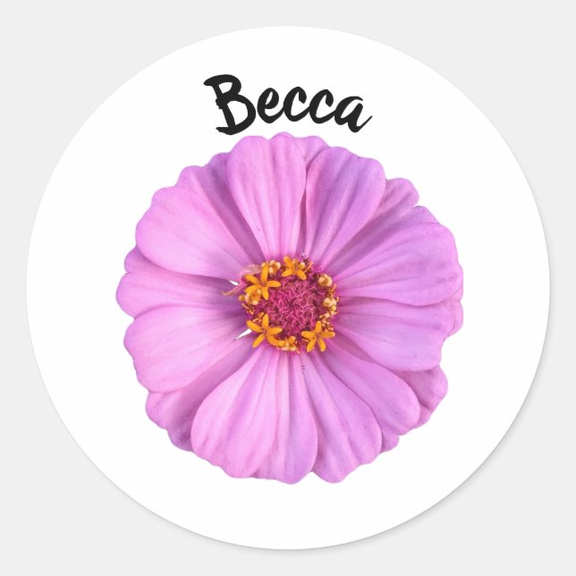 Rosa Zinnia Blume Personalisiert Runder Aufkleber (Vorderseite)