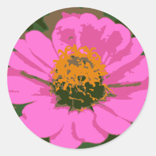Rosa Zinnia-Blumen-Aufkleber Runder Aufkleber