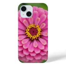 Rosa Zinnia - floral