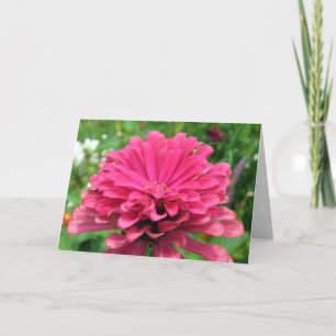 Rosa Zinnia - Geburtstagskarte Karte