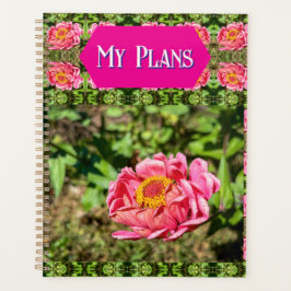 Rosa Zinnia mit gelber Mittellaufruge Planer