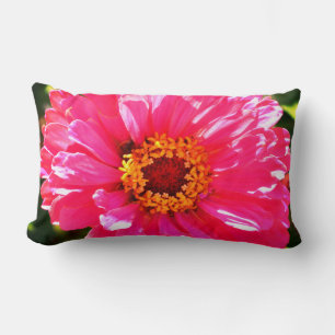 Rosa Zinnia, rosa Blüte, rosa Blume Foto Lendenkissen